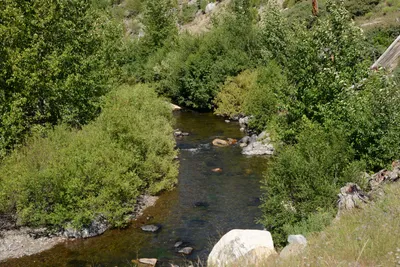 DSC_3816 (Large).JPG